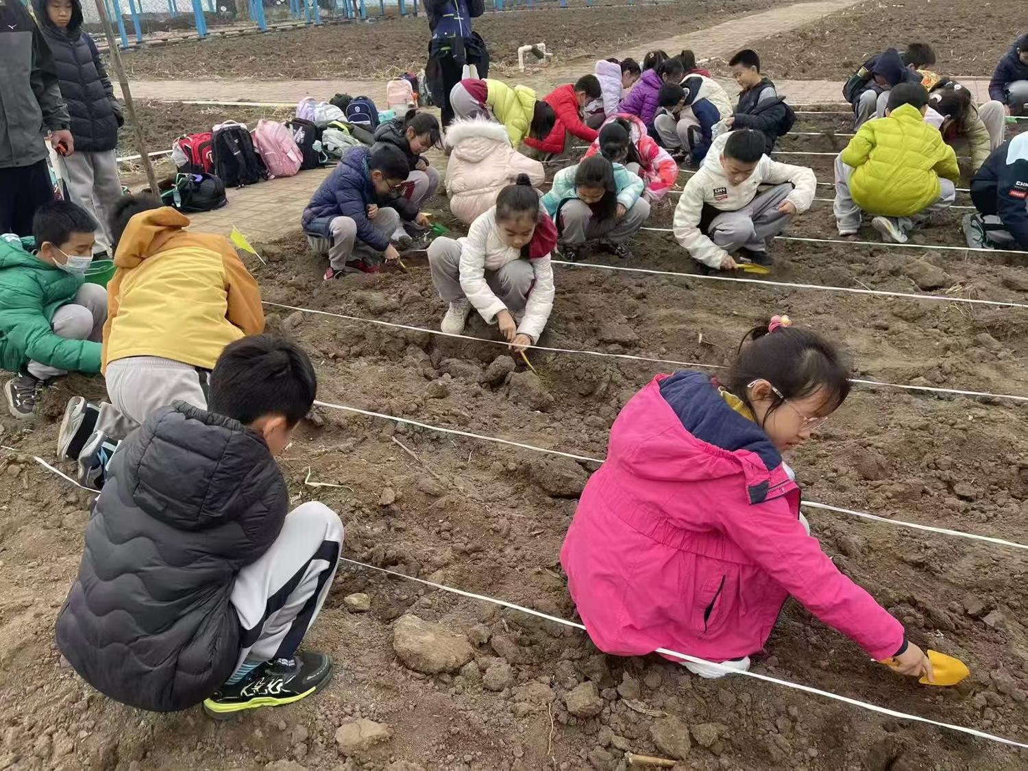 历程一：走进人参研学基地（识参 · 采参 · 第一课）