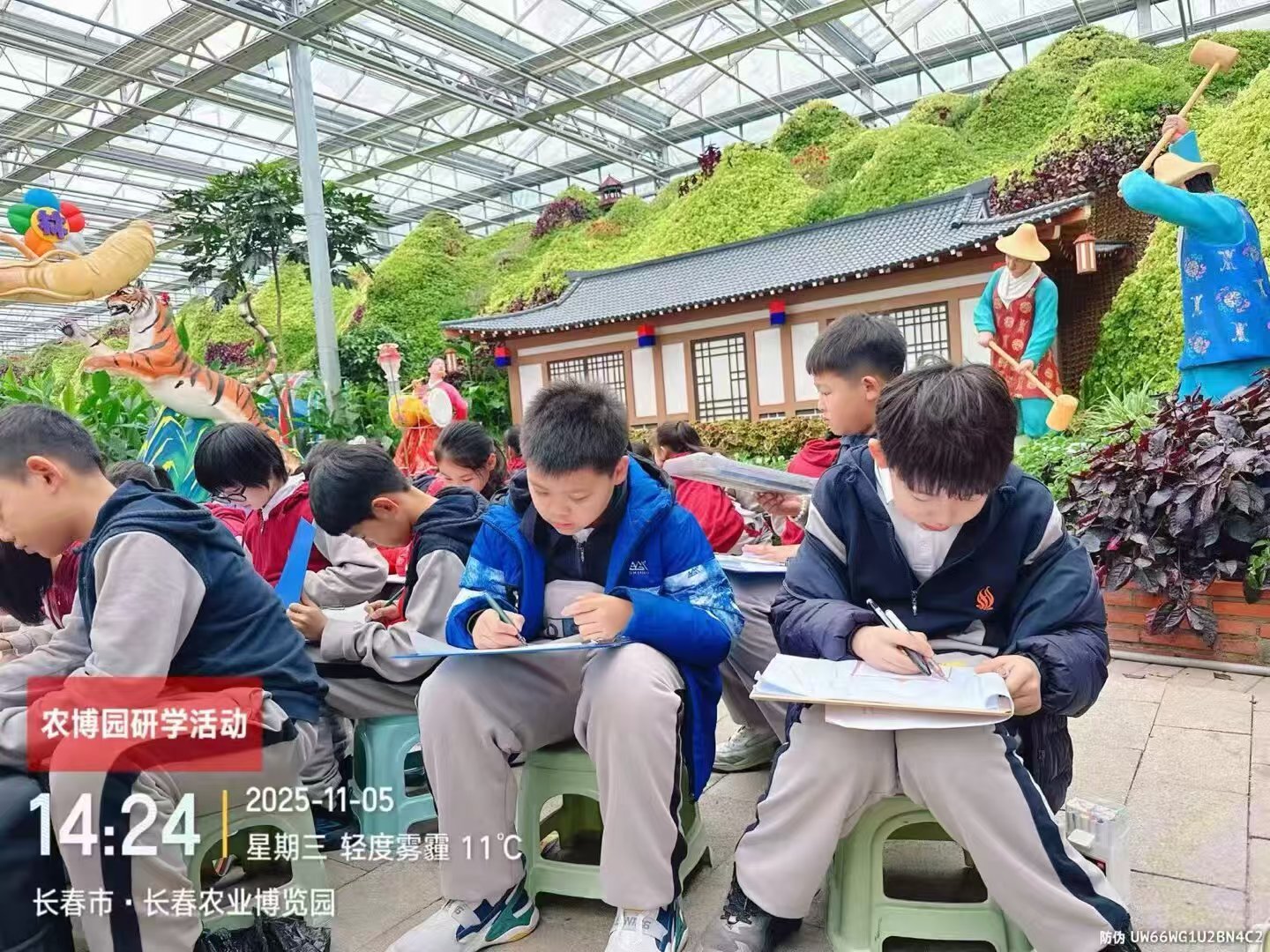 历程一：走进人参研学基地（识参 · 采参 · 第一课）