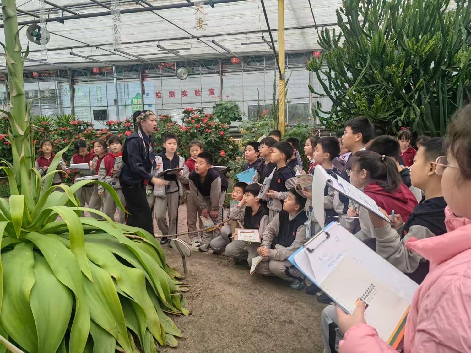 历程一：走进人参研学基地（识参 · 采参 · 第一课）