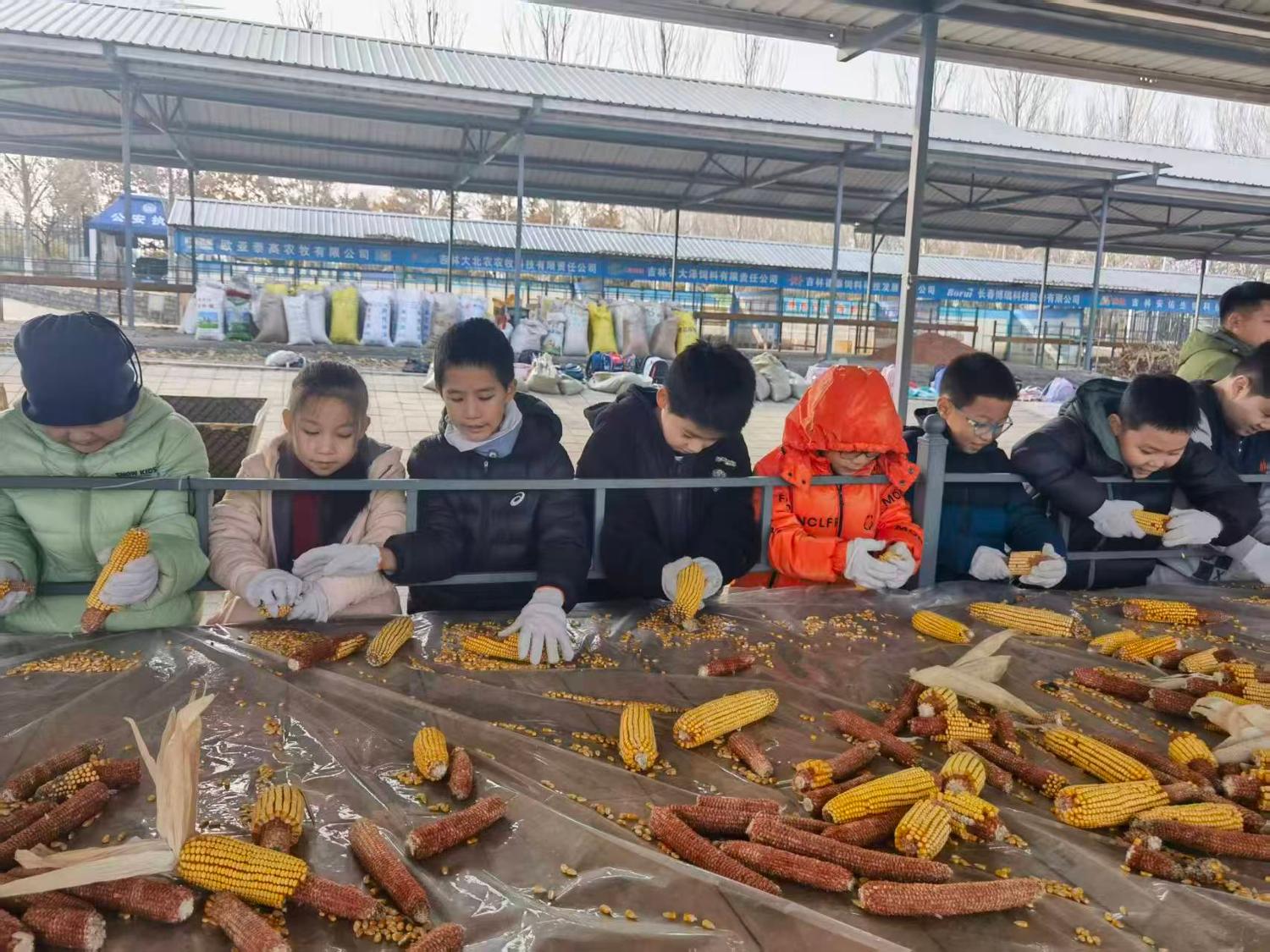 历程一：走进人参研学基地（识参 · 采参 · 第一课）