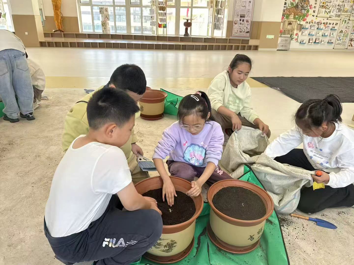 历程二：亲手种下一株参（种参 · 养护 · 认识年份）