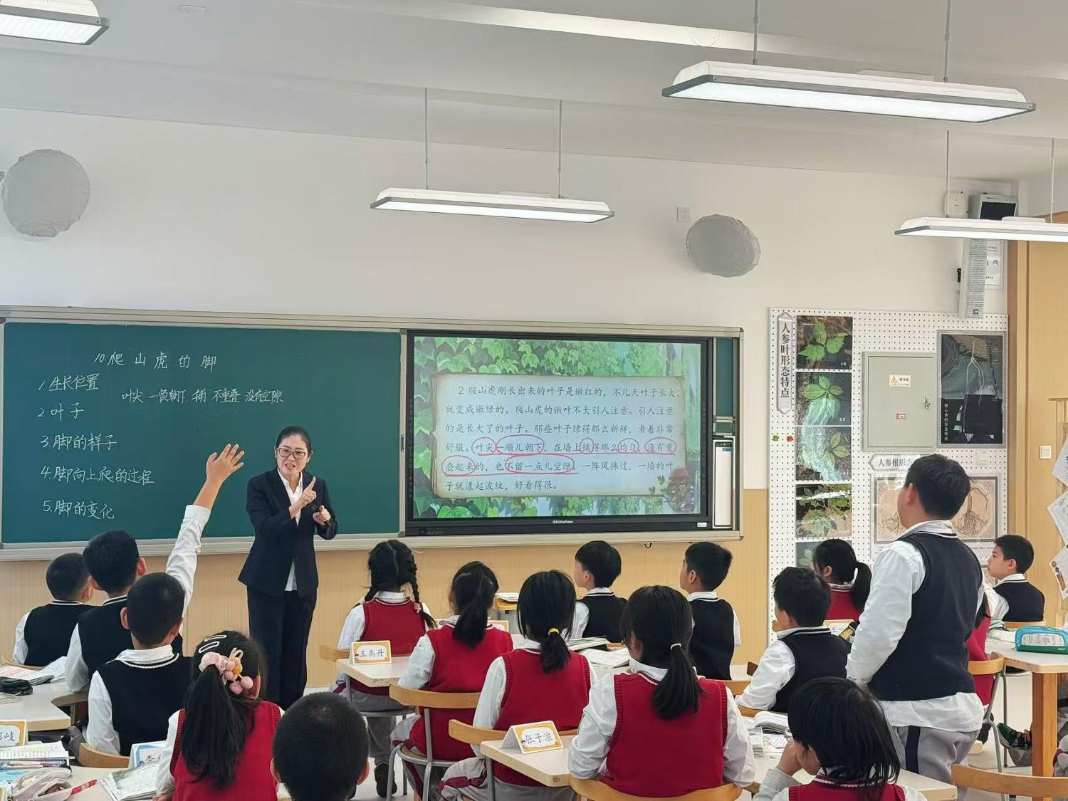 历程三：在观察中学会写作（观察 · 读《爬山虎的脚》 · 写日记）