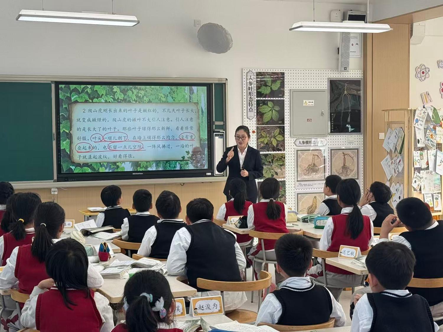 历程三：在观察中学会写作（观察 · 读《爬山虎的脚》 · 写日记）