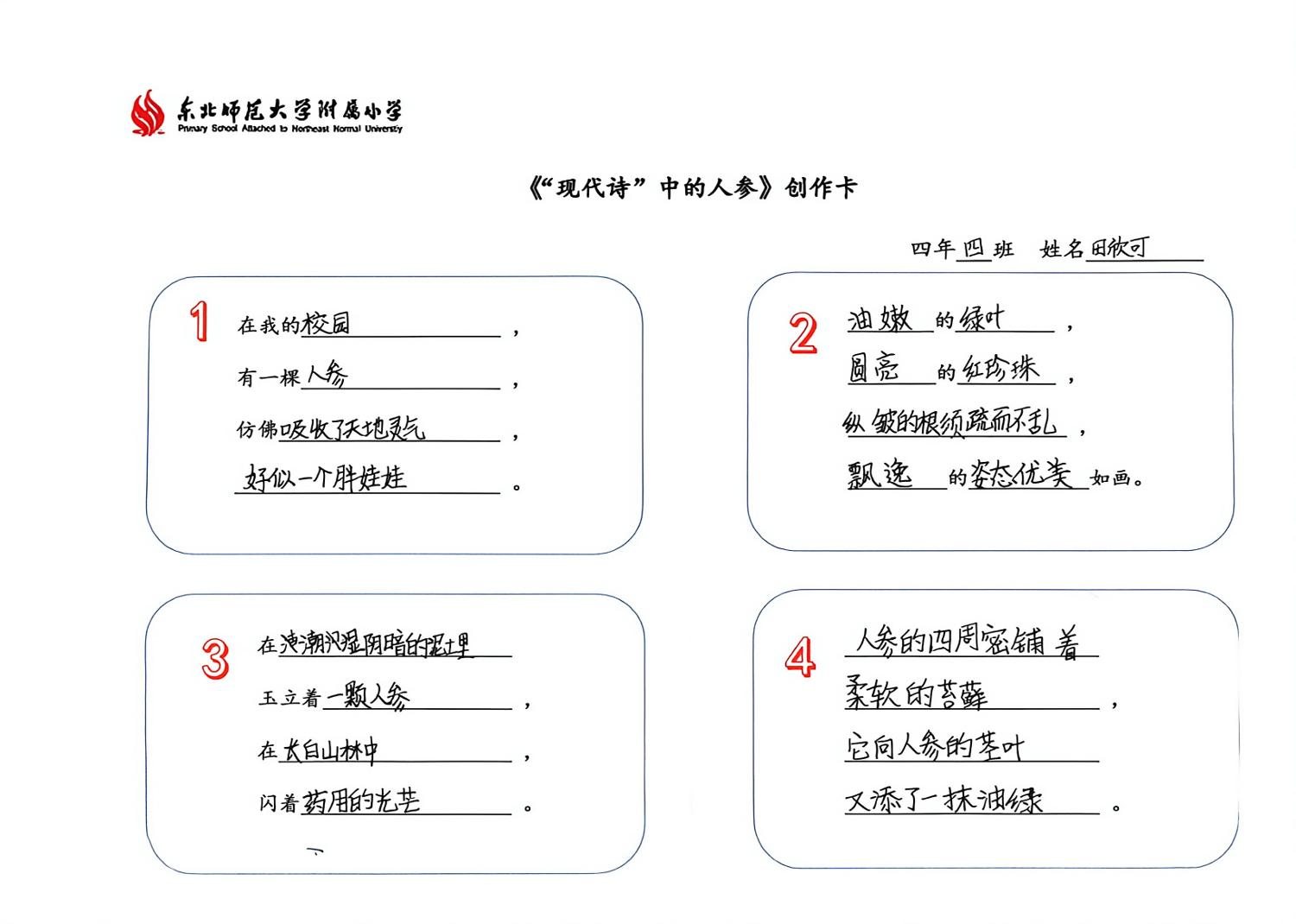 照片