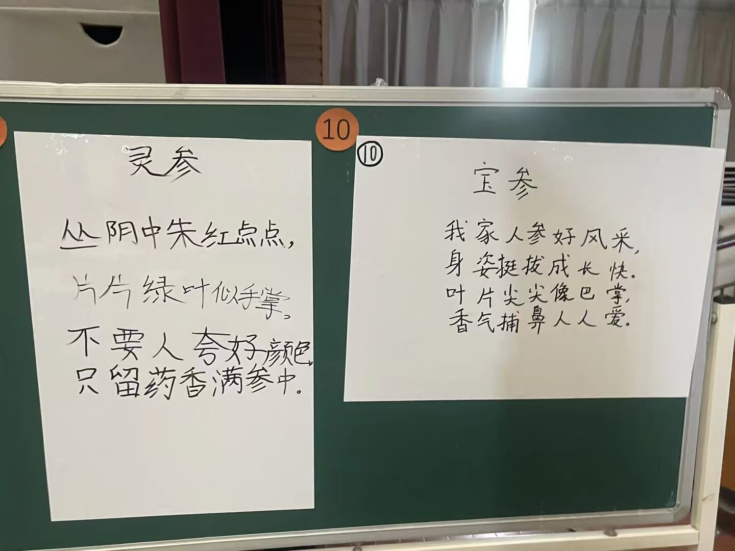 照片